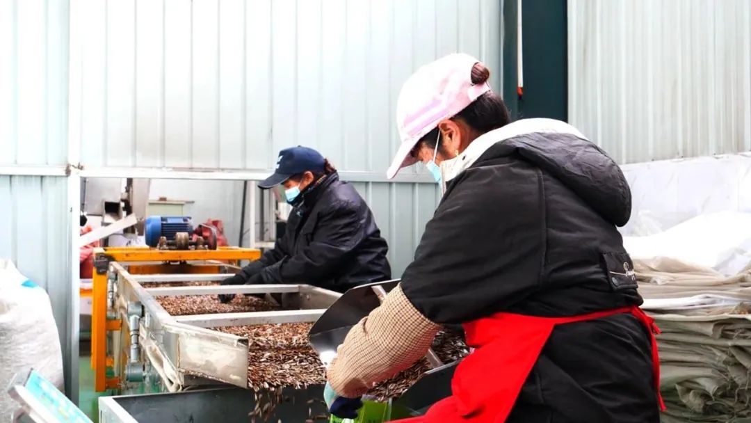 【 “三抓三促”行動(dòng)專題報(bào)道】看！奔跑在春天里的山丹